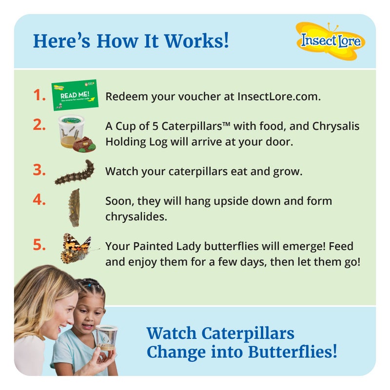 Insect Lore Giant Butterfly Garden with Voucher | 18 Inch Habitat | Life Cycle Figurines Included | Voucher to Redeem 5 Baby Caterpillars Later | Raise Painted Lady Butterflies - Image 3