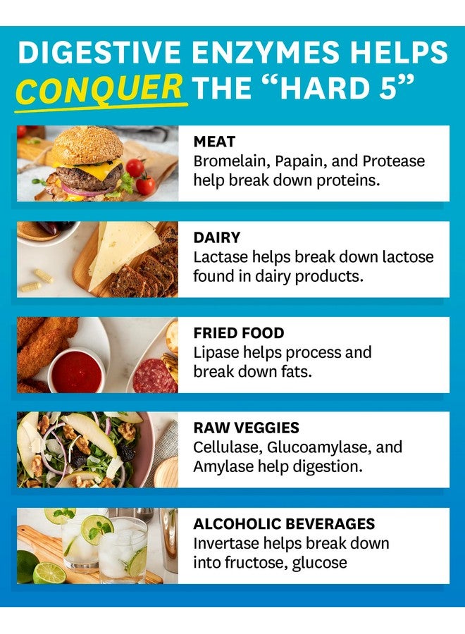 Zenwise Health Digestive Enzymes and Bromelain for Gut Health - Probiotic Multi Enzymes with Prebiotics and Probiotics for Women and Men for Digestive Health and Bloating Relief for Digestion - 100 CT - Image 5