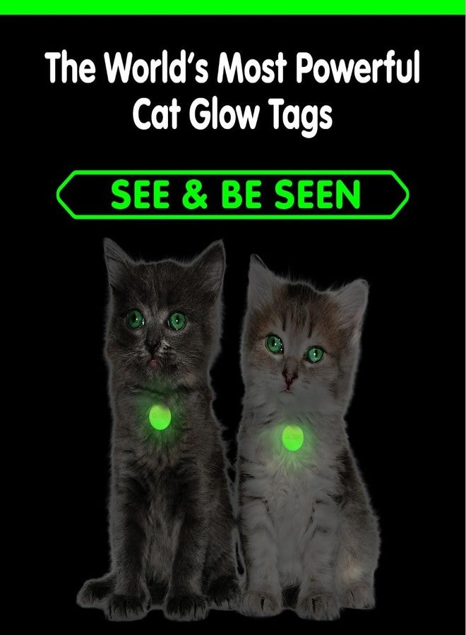 GLO-X Glow in The Dark Pet Collar Tags (Cat Tags) - Image 2