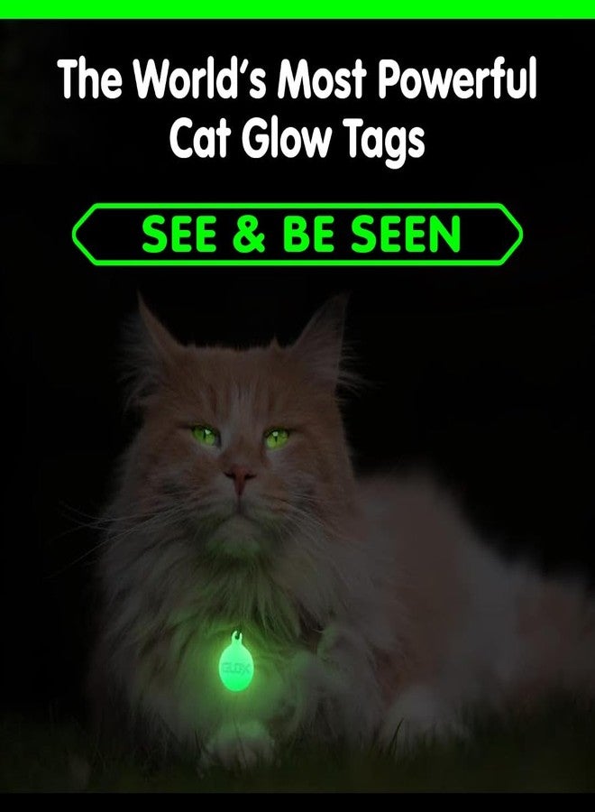 GLO-X Glow in The Dark Pet Collar Tags (Cat Tags) - Image 5