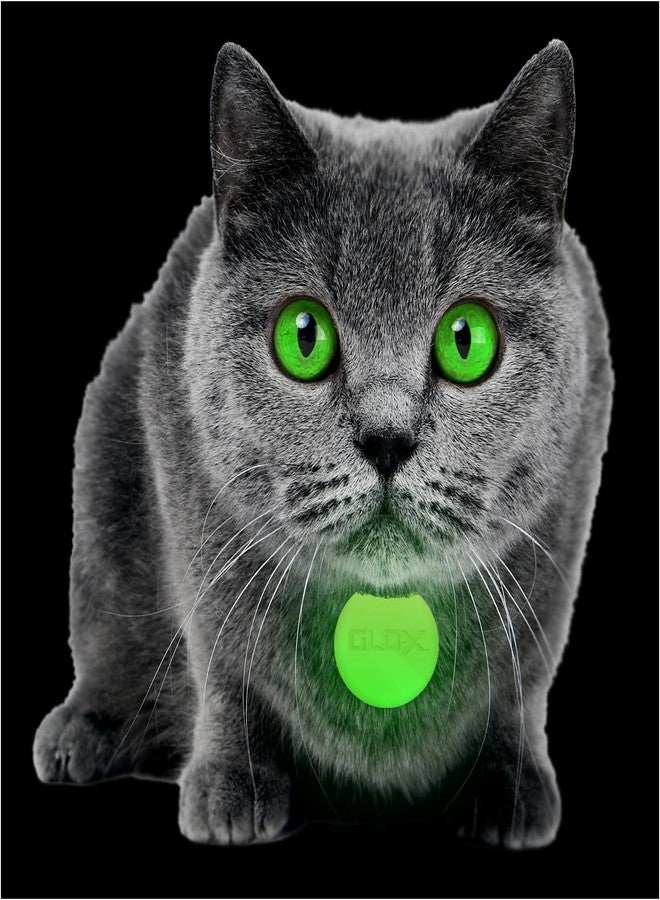 GLO-X Glow in The Dark Pet Collar Tags (Cat Tags) - Image 1