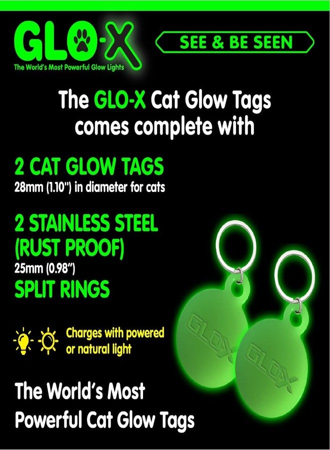 GLO-X Glow in The Dark Pet Collar Tags (Cat Tags) - Image 4