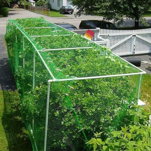 RK Trends Bird Netting | Heavy-Duty Anti-Bird Protection for Garden, Fruit Trees, and Vegetables | Durable (10 x 80) - Image 5