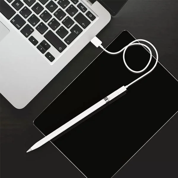 بولهاموبيل Polham Apple Pencil Pen Charging Adapter, Lightning To Lightning Converter Converter, With Indicator Light