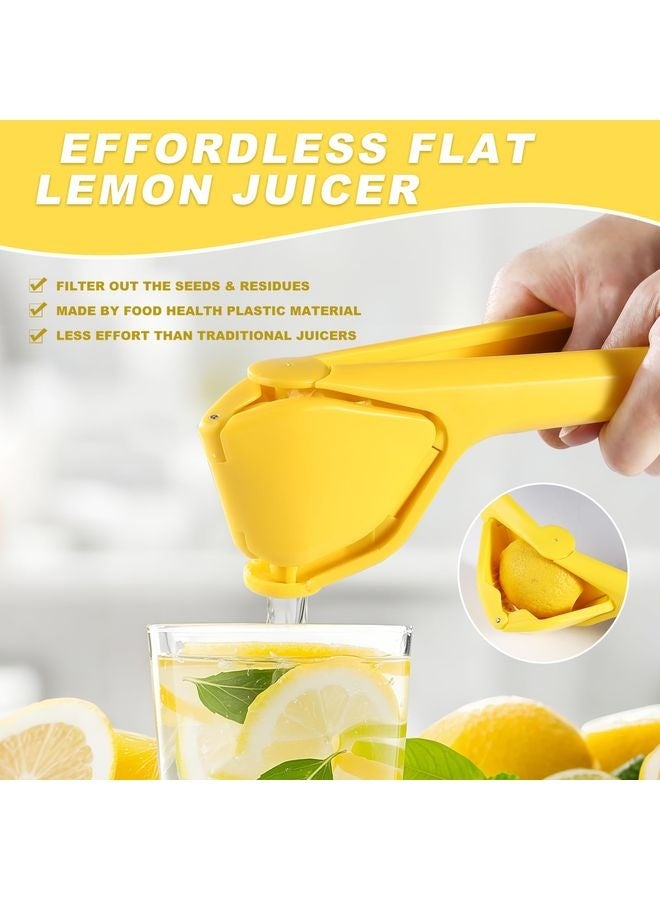 هومستر عصير الليمون، عصير الليمون، عصير الليمون، عصير الليمون، عصير الليمون، عصير الليمون، عصير الليمون، عصير الليمون، عصير الليمون، عصير الليمون، عصير الليمون، عصير الليمون، الليمون، الحمضيات، البرتقال وغيرها من الفواكه - Image 3