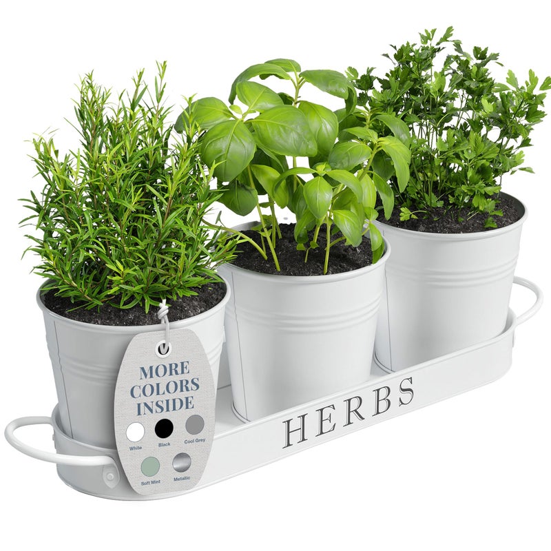 Barnyard Designs Indoor Herb Garden Planter Set with Tray, Metal Windowsill Plant Pots with Drainage for Outdoor or Indoor Plants, Set/3 (White) - Image 1