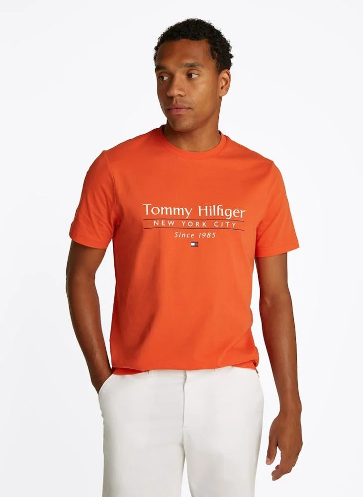 TOMMY HILFIGER Logo Crew Neck T-Shirt