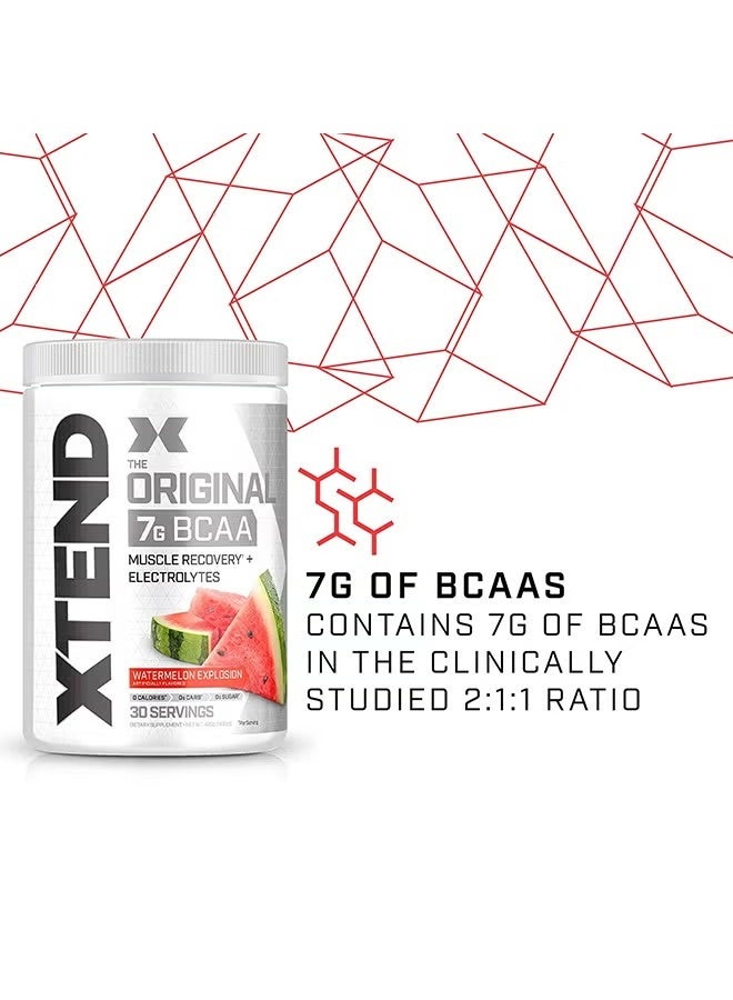 Xtend Original BCAA 7g – Watermelon Explosion | Muscle Recovery, Hydration & Zero Sugar – 30 Servings - Image 3