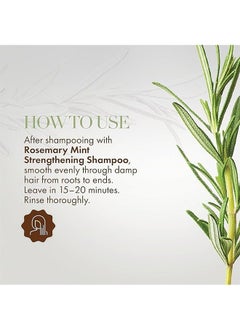 Rosemary Mint Strengthening Hair Masque 340g，Contain Nourishing Infusion of Biotin, Can Stimulate Hair Growth and Aid in The Repair of Damaged Hair, Make Your Hair More Translucent and Shiny - pzsku/Z707962101F00A15B7FF8Z/45/_/1709264692/3ed8f5f3-ec42-4988-ac38-2f834a4d12f0