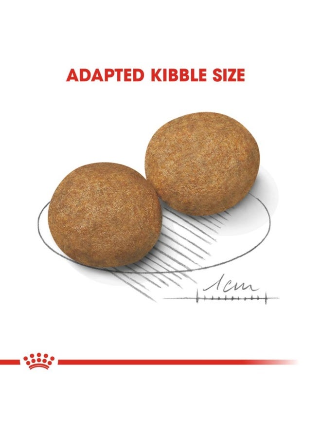 رويال كانين الحجم الصحة والتغذية متوسط ​​للبالغين - 10 كجم - Image 2