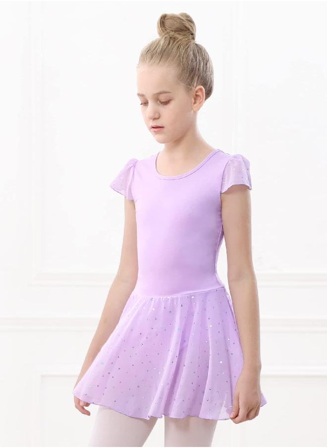 Stelle Stelle Girls Ballet Leotards Dance Shiny Dress Skirted Toddler Ballet Outfit (Toddler/Little Girl/Big Girl)(Purple(Shiny skirt), 5T) 