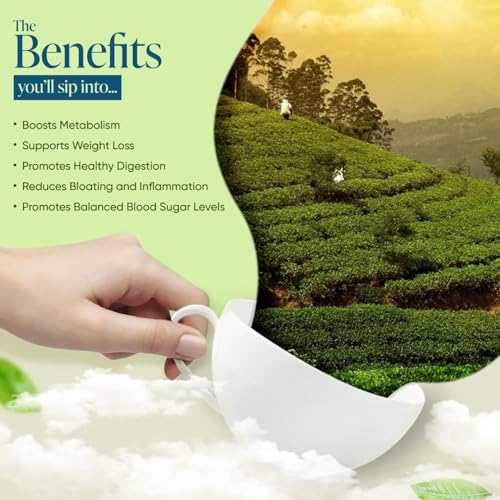 Winty Aqua Slim Green Tea – Pack of 2 (30 Bags Each) | With Garcinia, Moringa & Jasmine | Premium Herbal Ingredients | Aromatic Blend with No Preservatives | For Weight Management & Detox | Herbal Tea Bags - Image 3