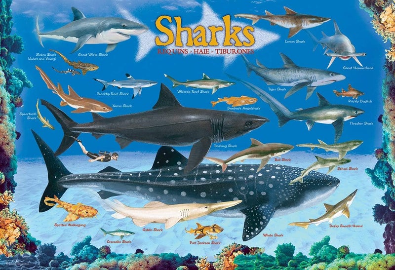 eurographics Sharks 100 Piece Jigsaw Puzzle - Image 2