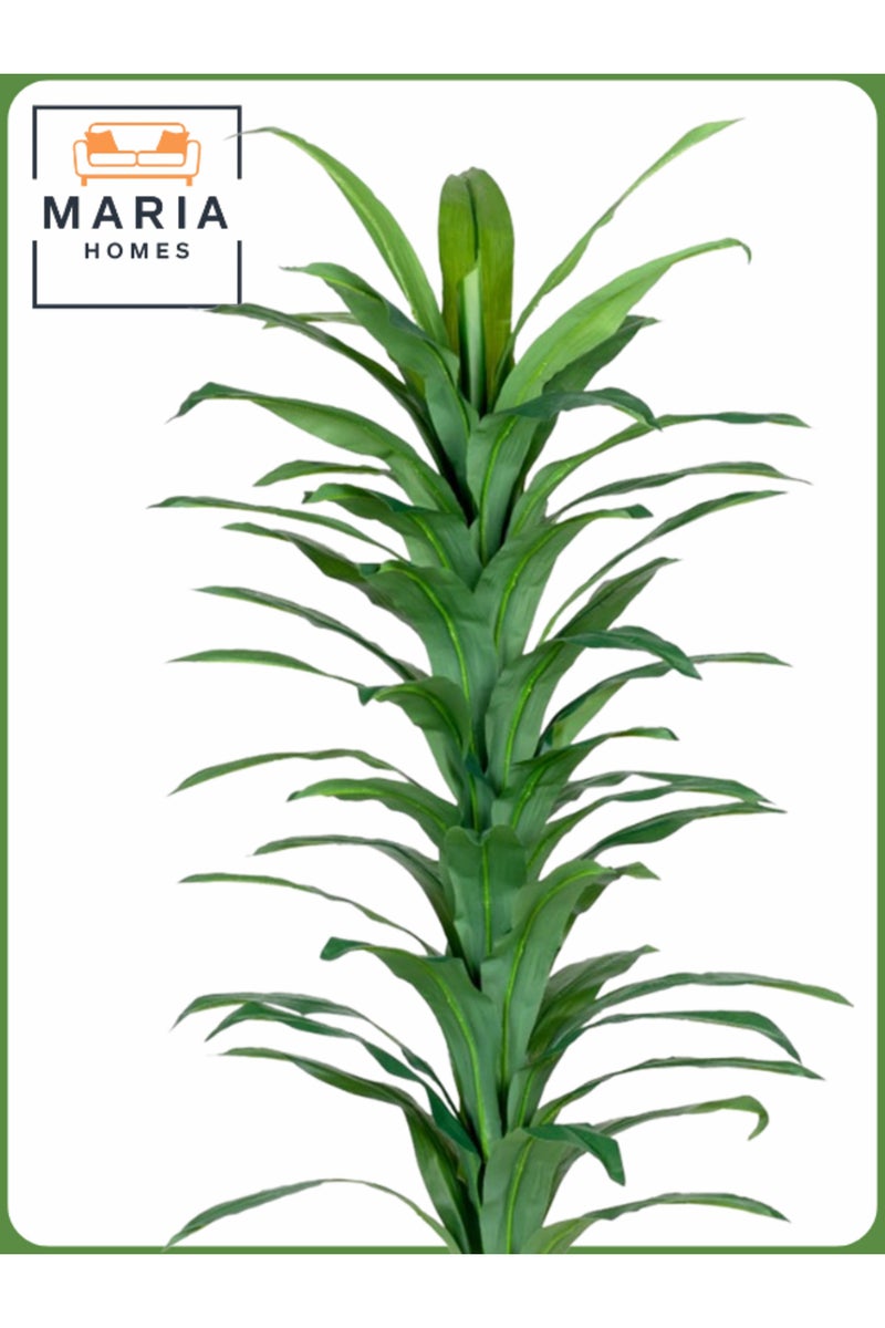 ماريا شجرة ذرة صناعية بطول 185 سم – نبات داخلي مزخرف مع وعاء بلاستيكي ذهبي - Image 3