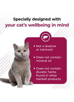 VetriScience Laboratories Hairball Remedy For Cats  60 Chews  Cat Supplements & Vitamins For Hairball Control And Digestive Support  - Image 4