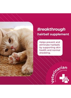 VetriScience Laboratories Hairball Remedy For Cats  60 Chews  Cat Supplements & Vitamins For Hairball Control And Digestive Support  - Image 2