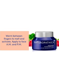 Naturopathica Gotu Kola Intense Repair Balm Daily Facial Moisturizer With Candelilla Wax & Raspberry Seed Oil 2.8 Fl Oz  - Image 5