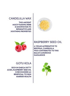 Naturopathica Gotu Kola Intense Repair Balm Daily Facial Moisturizer With Candelilla Wax & Raspberry Seed Oil 2.8 Fl Oz  - Image 3
