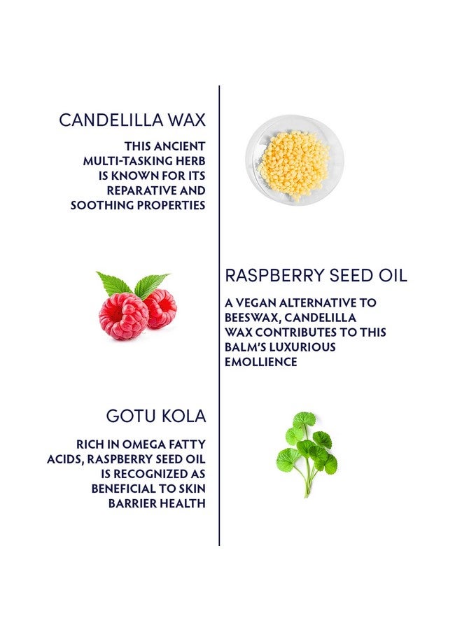 ناتروباثيكا بلسم الإصلاح المكثف من غوتو كولا، مرطب يومي للوجه مع شمع كانديليلا وزيت بذور التوت 2.8 أونصة سائلة - Image 3