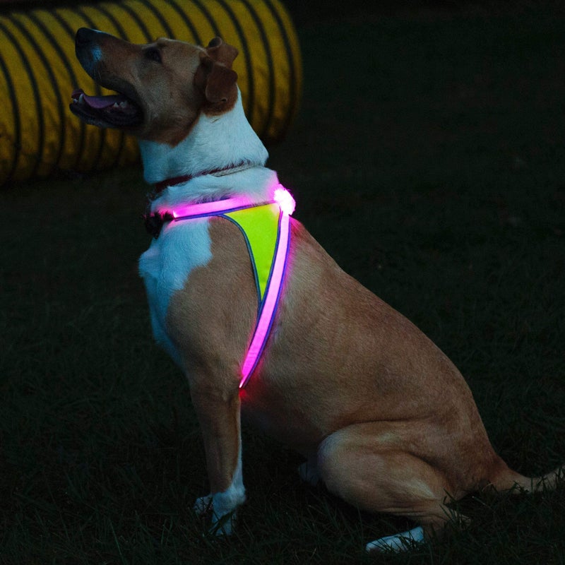 Noxgear LightHound â€“ Revolutionary Illuminated and Reflective Harness for Dogs Including Multicolored LED Fiber Optics (USB Rechargeable, Adjustable, Lightweight, Rainproof) (Large) - Image 4