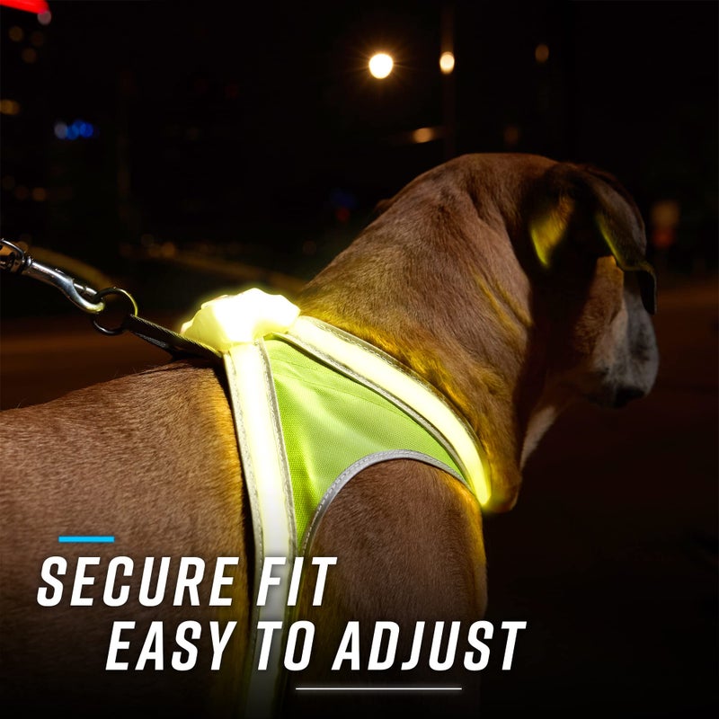 Noxgear LightHound â€“ Revolutionary Illuminated and Reflective Harness for Dogs Including Multicolored LED Fiber Optics (USB Rechargeable, Adjustable, Lightweight, Rainproof) (Large) - Image 2