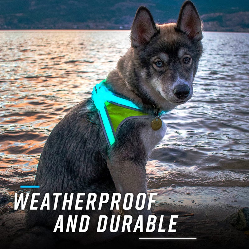 Noxgear LightHound â€“ Revolutionary Illuminated and Reflective Harness for Dogs Including Multicolored LED Fiber Optics (USB Rechargeable, Adjustable, Lightweight, Rainproof) (Large) - Image 5