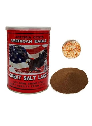 American Eagle BBS  - 425 gms - pzsku/Z708D30C6223F5C32990AZ/45/_/1716456749/0fe34989-a4f2-4058-886d-c2955882aaa4