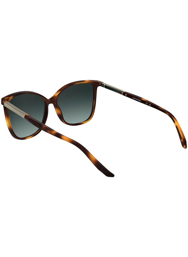 CALVIN KLEIN نظارات شمسية كاملة الإطار من كالفن كلاين CK25504S 5715 (240) هافانا - Image 2