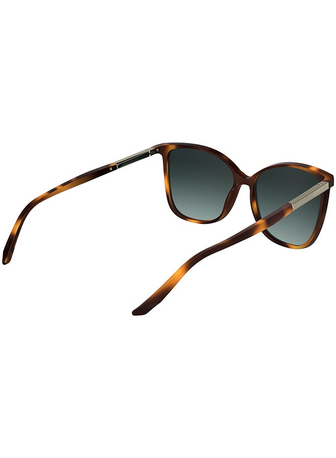 CALVIN KLEIN نظارات شمسية كاملة الإطار من كالفن كلاين CK25504S 5715 (240) هافانا - Image 4