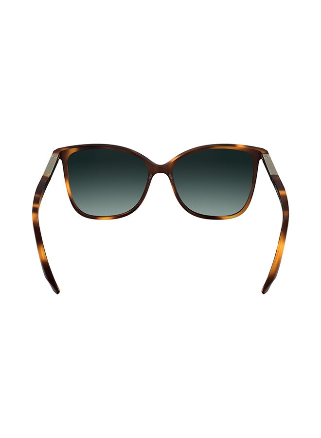 CALVIN KLEIN نظارات شمسية كاملة الإطار من كالفن كلاين CK25504S 5715 (240) هافانا - Image 3
