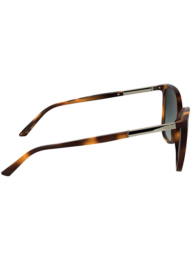 CALVIN KLEIN نظارات شمسية كاملة الإطار من كالفن كلاين CK25504S 5715 (240) هافانا - Image 5