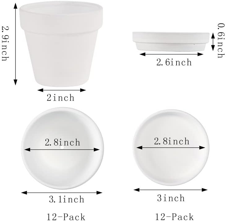 Yishang أواني تيرا كوتا البيضاء مع صحن - 12 حزمة من الأواني الكبيرة من تيرا كوتا أواني الطين 3 بوصات من الفخار الخزفي لزراعة الصبار وأواني الزهور وأواني العصارة مع فتحة تصريف - Image 2