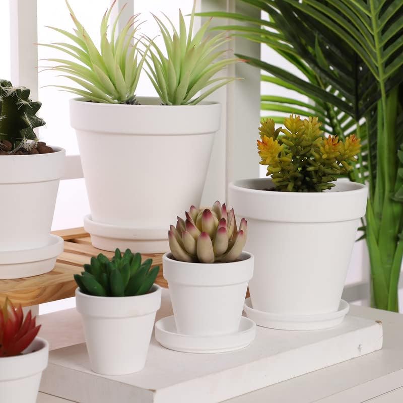 Yishang أواني تيرا كوتا البيضاء مع صحن - 12 حزمة من الأواني الكبيرة من تيرا كوتا أواني الطين 3 بوصات من الفخار الخزفي لزراعة الصبار وأواني الزهور وأواني العصارة مع فتحة تصريف - Image 5