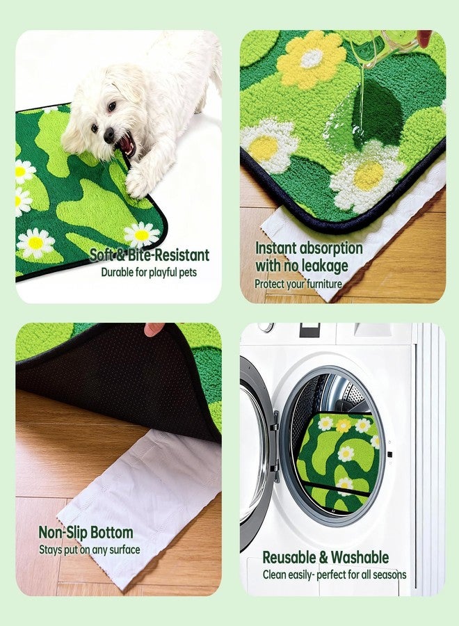 Qeils Reusable Puppy Pads for Small Dogs, Washable Pee Pads with Non-Slip , Absorbent Leakproof Mat for Crates, Playpens, Pet Beds & Whelping, Indoor Potty Training Grass Green, 16"x12", 4 Pack - Image 4
