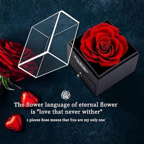 HIRVAX HIRVAX Preserved Real Rose Handmade Eternal Rose with Necklace Original Presents for Mom Wife Girlfriend Her for Valentines Day Anniversary Mothers Day Birthday Gifts  - Image 5