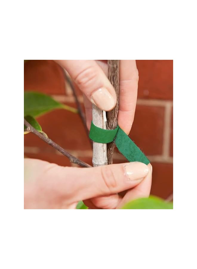 PROMASS promass Reusable Cable Ties Adhesive Fastening Magic Strap Ties,Hook and Loop Adjustable Straps for Extension Cords,Tree and Plant Supports for Effective Growing 5m x 1.2cm x 3 Rolls (Green)  - Image 5