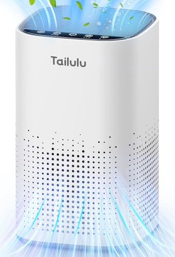 Tailulu Air Purifiers for Home Large Room up to 1500ft², Tailulu H13 True HEPA Air Purifier for Pets Dust Odor Smoke, Air Purifier for Bedroom with 15dB Quiet Sleep Mode for Bedroom Office Living Room - Image 1