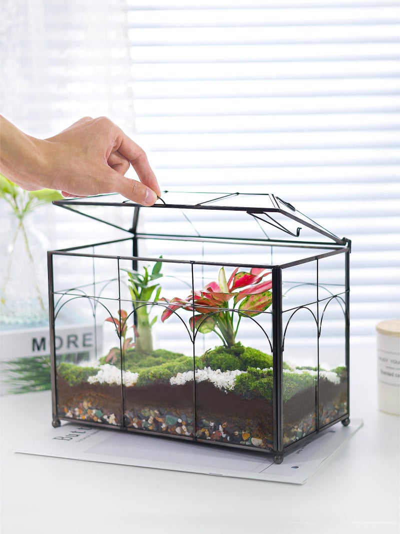 REDHUGO Handmade Glass Planter Terrarium with Lid, Indoor Tabletop Centerpiece Display Box Modern Decor DIY Gift Plant Terrarium Container for Succulent Cacti Air Plants Flower (Black) - Image 2