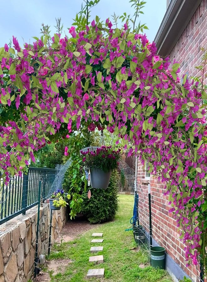 CITYES Artificial Bougainvillea Flowers Garland Purple Silk Bougainvillea Vines UV Resistant Realistic Faux Hanging Flowers Plants for Outdoor Outside Summer Decoration Porch Patio Balcony Yard Wall - Image 5
