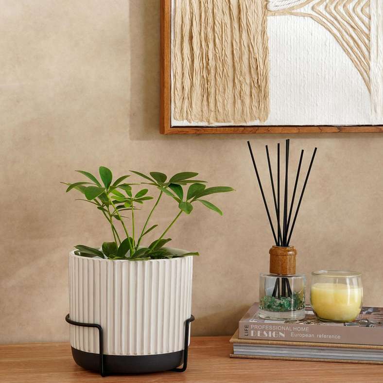 Pan Home وعاء لورا من الطين مع قاعدة - أبيض