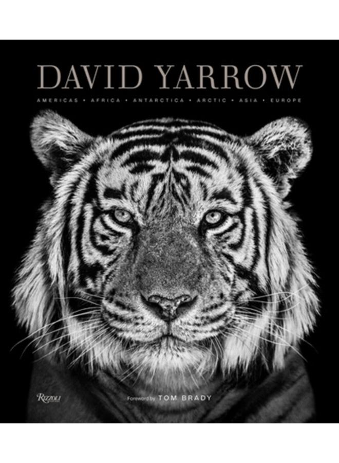 David Yarrow Photography : Americas Africa Antarctica Arctic Asia Europe 