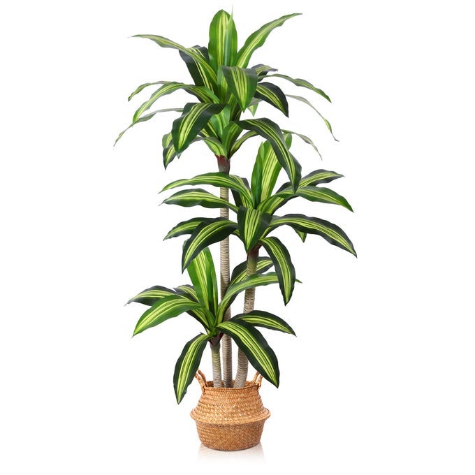 ARTIFICIAL PLANTS 5 FT DRACAENA TREE FAUX PLANTS INDOOR OUTDOOR DECOR FAKE TREE WITH WOVEN SEAGRASS BASKET PLANTS FOR HOME DECOR OFFICE LIVING ROOM PORCH PATIO HOUSEWARMING