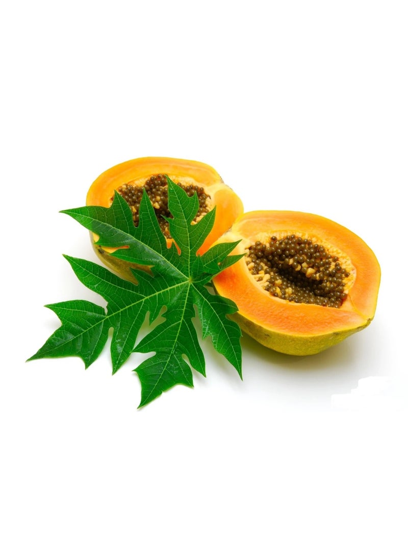 Lion Papaya Leaf Powder 100g –  Natural Herbal Papaya Leaves Powder - Image 2