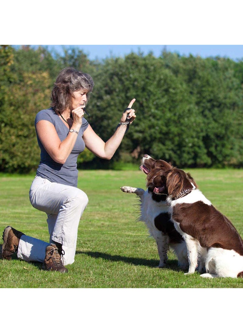 MissTiara - 2 Piece Professional Ultrasonic Dog Whistles With Lanyard and Dog Training Clickers For Recall Stop Barking Adjustable Frequencies Proven Results Pet Training Set - Image 1