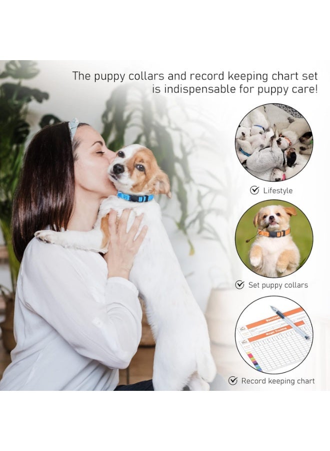 Meetion Soft Nylon Puppy and Pup Collars, Adjustable Breakaway Litter Collars, Plain Whelping & ID with Charts - Assorted Colors, Set of 12 (Medium) - Image 5