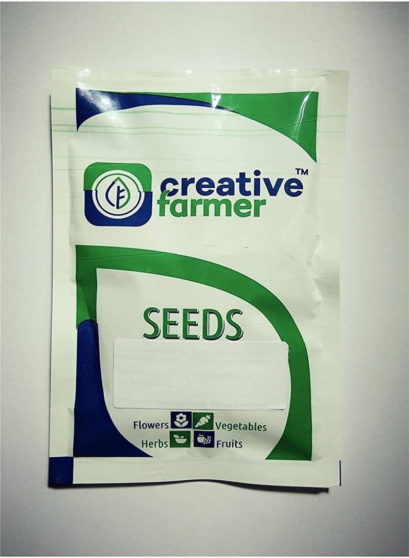GGOOT Flower Seeds : Pouch Nemesia Seeds for Terrace Garden Seeds Flowers Garden [Home Garden Seeds Eco Pack] Plant Seeds  - Image 4