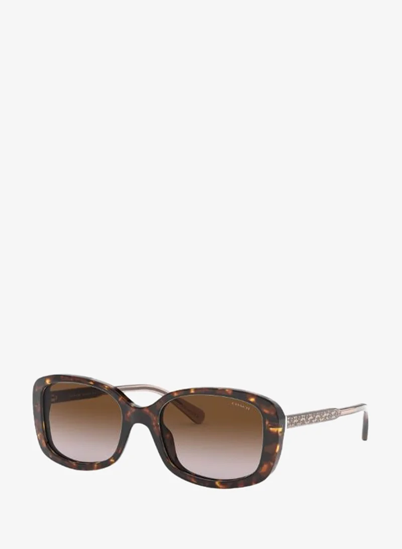 0HC8278 Wayfarer Sunglasses
