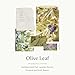 Thymes Hand Lotion - 8.25 Fl Oz - Olive Leaf - Image 3