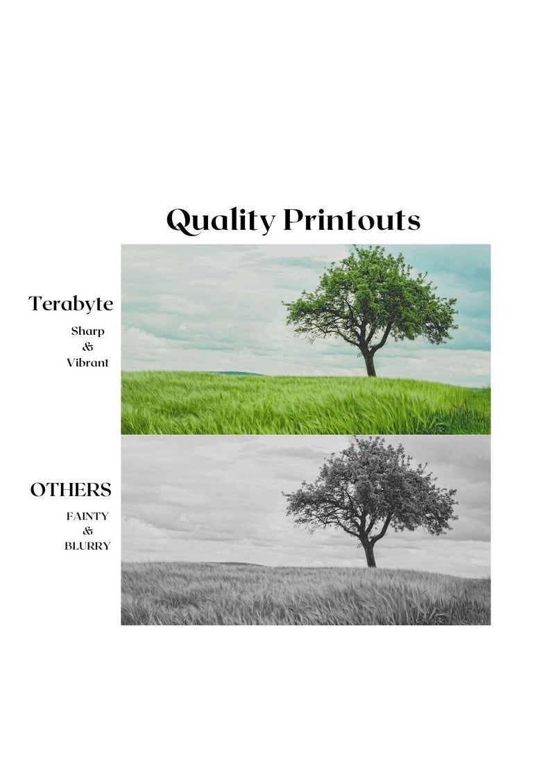 Terabyte TERABTE TONER CARTRIDGE TN461/441 YELLOW - Image 4