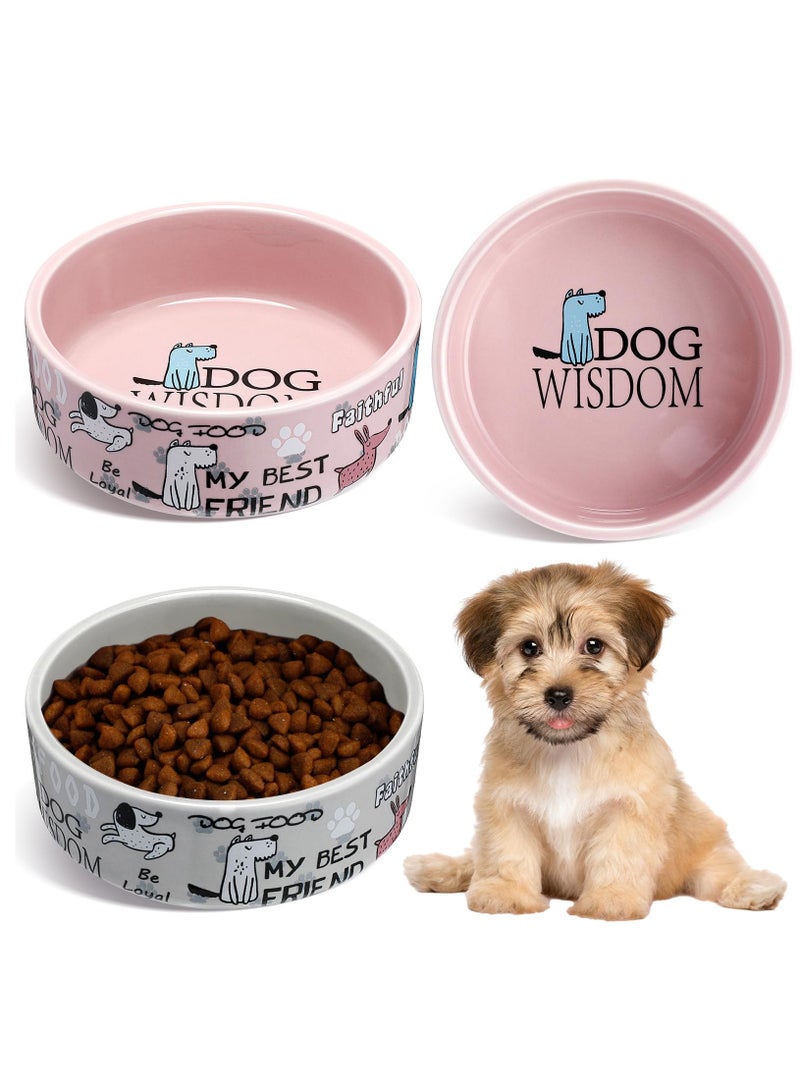 KASTWAVE 2 قطع وعاء سيراميك للكلاب 5 بوصة بنمط كرتوني وعاء للقطط وأوعية طعام للكلاب وعاء ماء ثقيل للكلاب وعاء متين للحيوانات الأليفة للغذاء والسفر، آمن في غسالة الصحون وآمن في الميكروويف - Image 1
